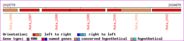 gene map