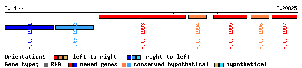 gene map