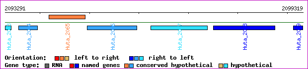 gene map