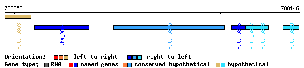 gene map