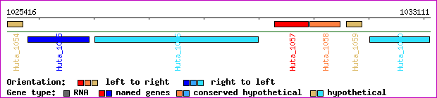 gene map