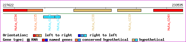gene map
