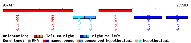 gene map