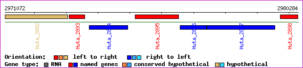 gene map