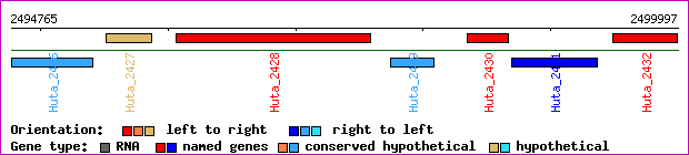 gene map