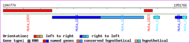 gene map