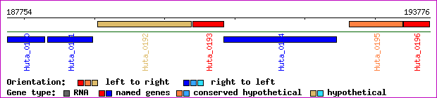 gene map