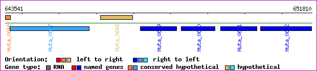 gene map