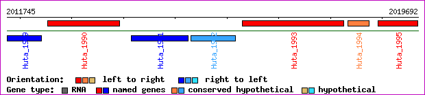 gene map