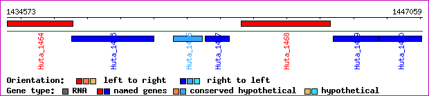 gene map