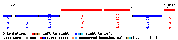 gene map
