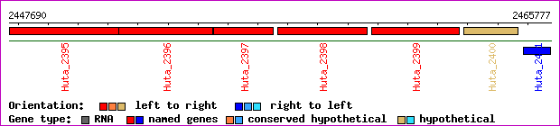 gene map