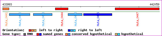 gene map