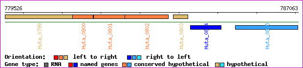 gene map