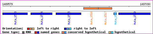 gene map