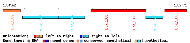 gene map
