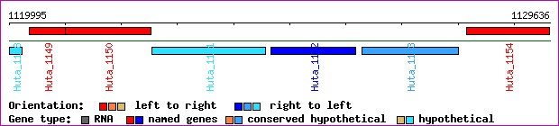 gene map