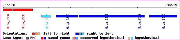 gene map