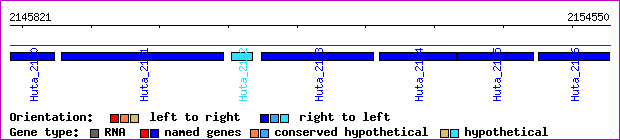 gene map