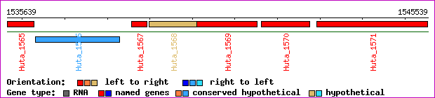 gene map
