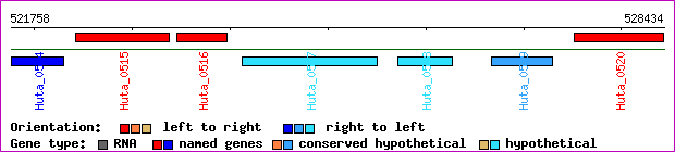gene map