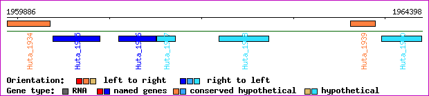 gene map
