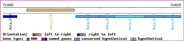 gene map