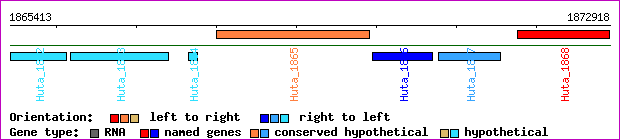 gene map