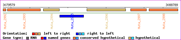 gene map