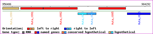 gene map