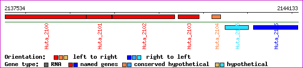 gene map