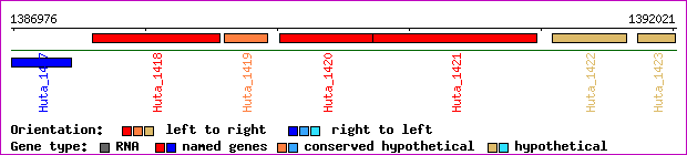 gene map