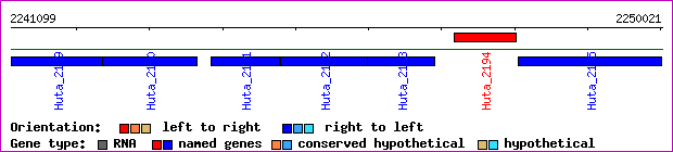 gene map