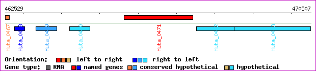 gene map