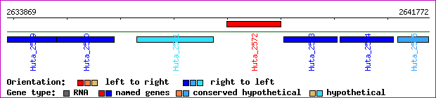 gene map