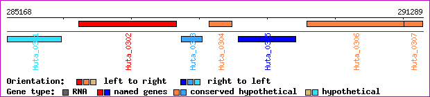 gene map