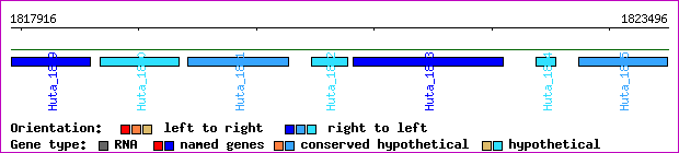 gene map