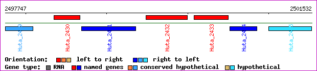 gene map