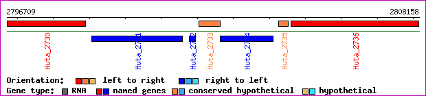 gene map