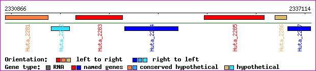gene map