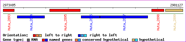 gene map