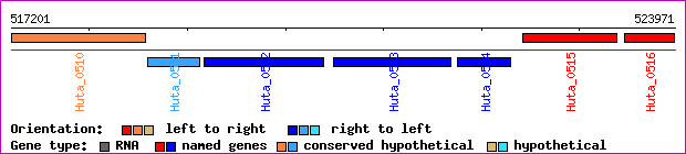 gene map