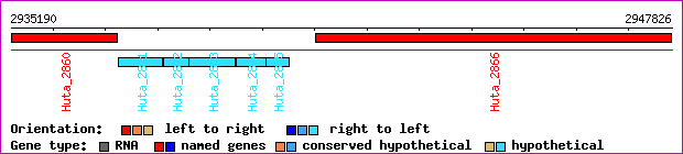 gene map