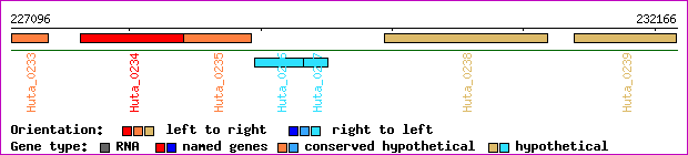 gene map