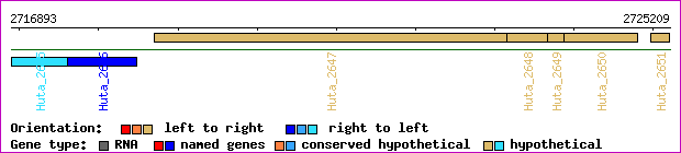 gene map