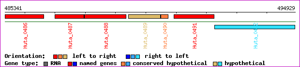 gene map
