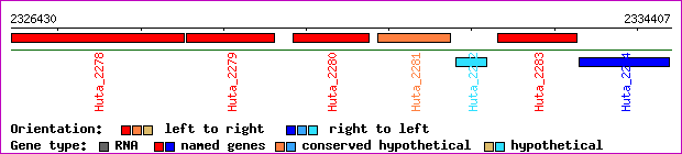 gene map
