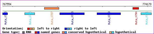 gene map