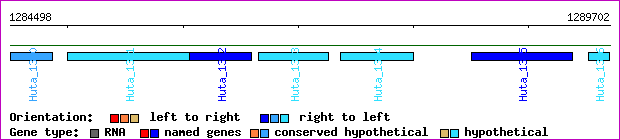 gene map