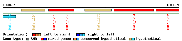 gene map
